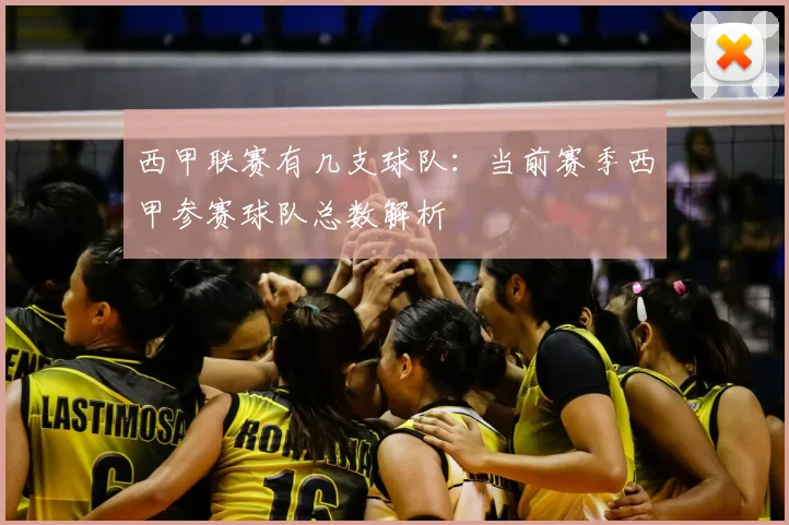 西甲联赛有几支球队：当前赛季西甲参赛球队总数解析