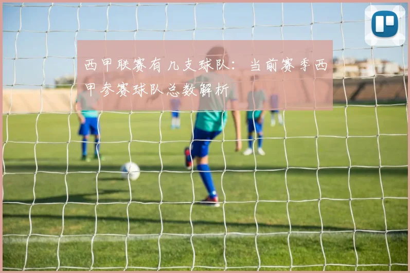 西甲联赛有几支球队：当前赛季西甲参赛球队总数解析